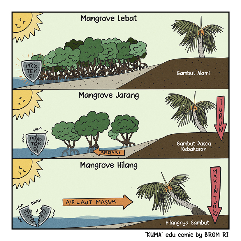 Image 2 - 27